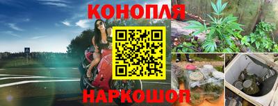 скорость mdpv Бердск