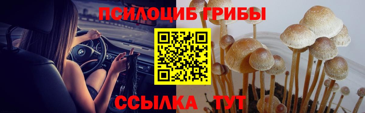Галлюциногенные грибы ЛСД  Вход с VPN  Белово 