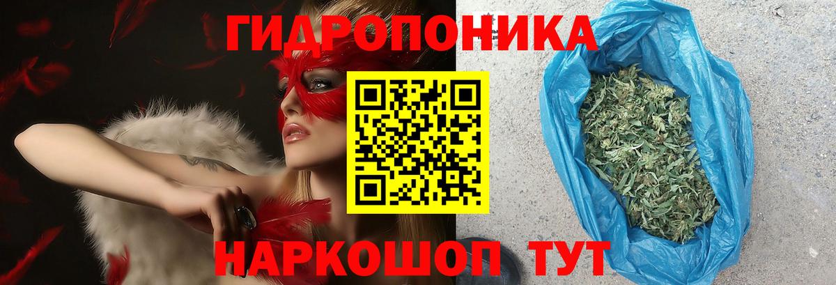 Конопля ГИДРОПОН Белово